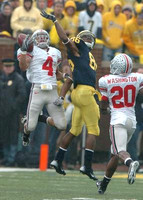 Mario Manningham