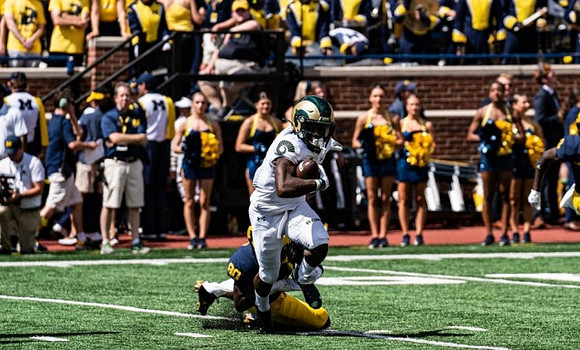 Michigan Player