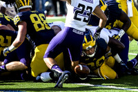 Jake Butt (88), Drake Johnson (20), and A.J. Williams (84)