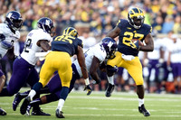 Maurice Ways (85) and Derrick Green (27)