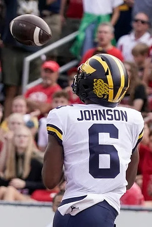 Cornelius Johnson (6)