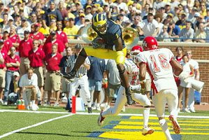 Braylon Edwards (1)