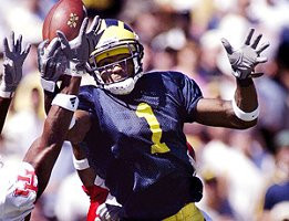 Braylon Edwards (1)
