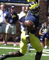 Braylon Edwards (1)