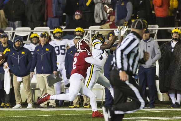 Michigan Player