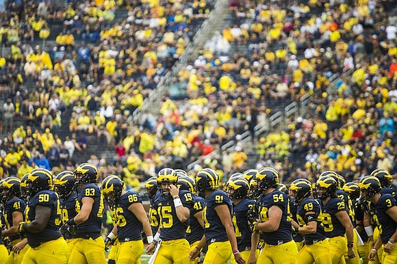 Michigan Team