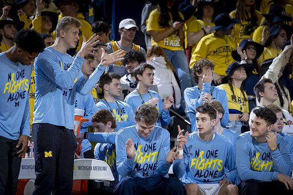 Michigan Team