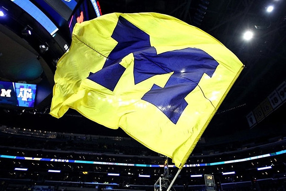 Michigan Flag