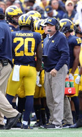 Brad Hawkins (20) and Don Brown