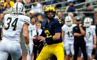 Shea Patterson (2)