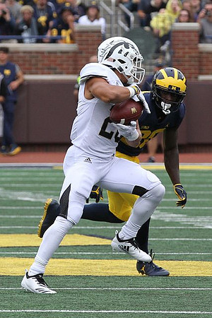 Michigan Player