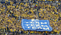 Michigan Fans