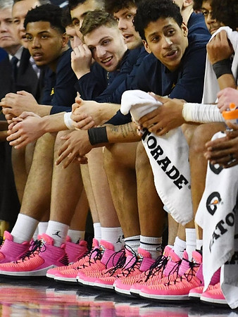 Michigan Team