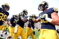 Michigan Team