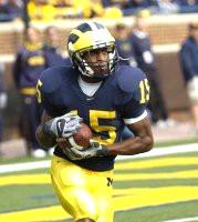 Steve Breaston (15)