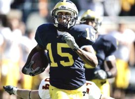 Steve Breaston (15)