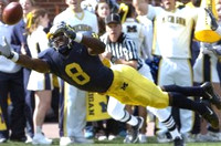 Jason Avant (8)