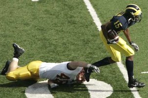Steve Breaston (15)