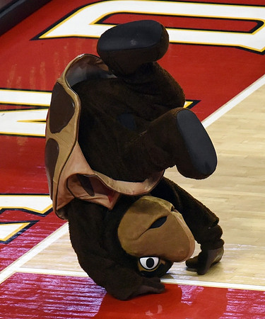Maryland Mascot