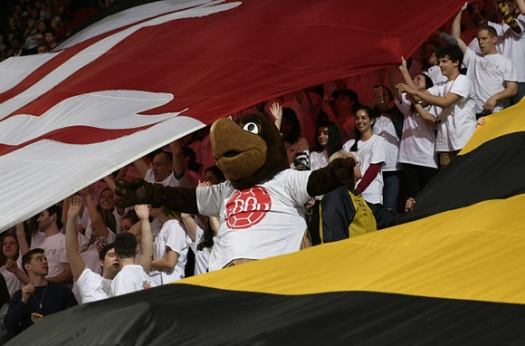 Maryland Mascot
