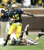 Steve Breaston