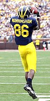 Mario Manningham