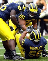 LaMarr Woodley, Alan Branch, and David Harris