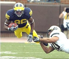 Mario Manningham