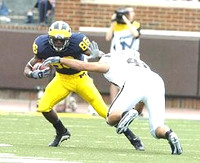 Mario Manningham