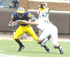 Mario Manningham