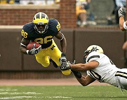 Mario Manningham