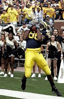 Mario Manningham