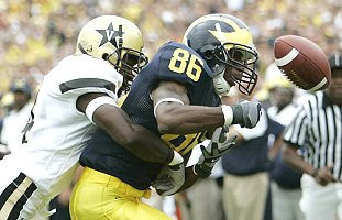 Mario Manningham