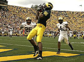 Mario Manningham