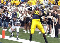 Mario Manningham