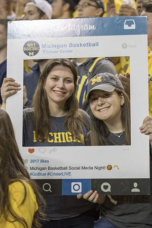 Michigan Fans