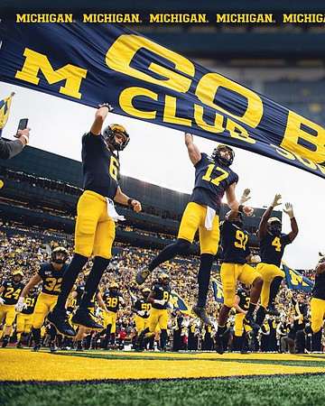 Michigan Team