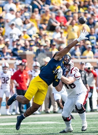 Michigan Player