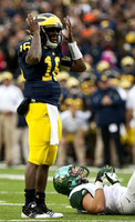 Denard Robinson (16)
