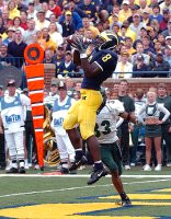 Jason Avant (8)