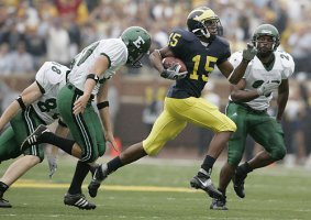 Steve Breaston (15)