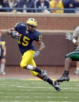 Steve Breaston (15)