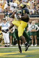 Jason Avant (8)