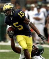 Steve Breaston (15)