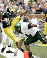 Steve Breaston (15)