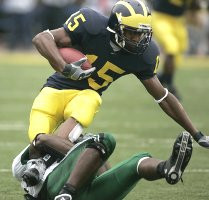 Steve Breaston (15)