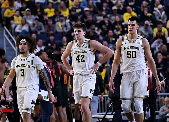 Tre Donaldson (3), Will Tschetter (42), and Vladislav Goldin (50)
