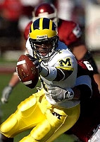 Braylon Edwards (1)