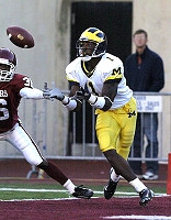 Braylon Edwards (1)