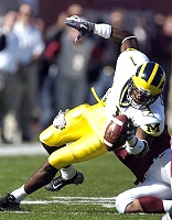 Braylon Edwards (1)